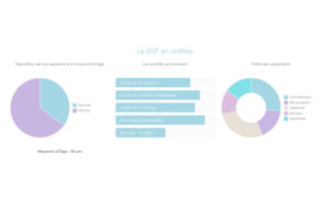 Optimisation CSS de graphiques