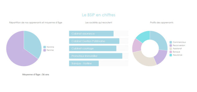 Optimisation CSS de graphiques