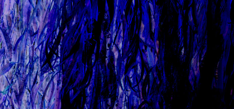 FeuillesMixte Photo/Pixel