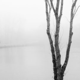Brouillard | Photo