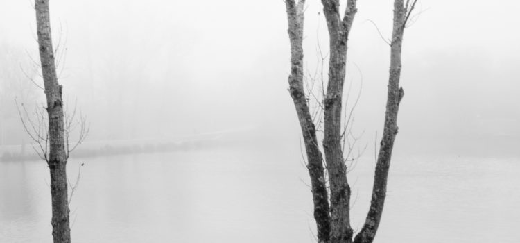 BrouillardPhoto